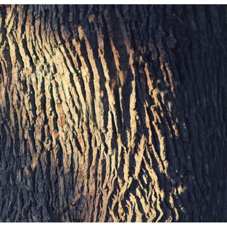Outdoor Artificial Oak Tree