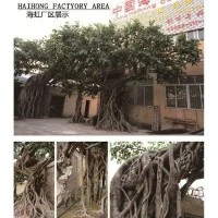Kunstlik Vana Ficus Tree vastu seina