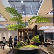 Artificial Cyathea Cooperi